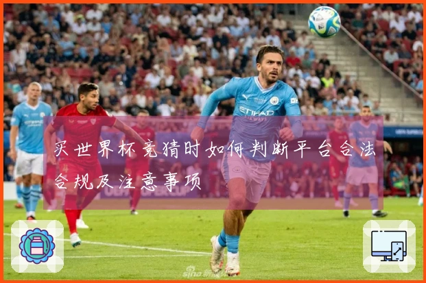 买世界杯竞猜时如何判断平台合法合规及注意事项