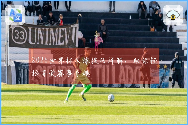 2026世界杯买球技巧详解，助你轻松享受赛事乐趣