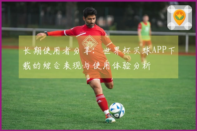 长期使用者分享：世界杯买球APP下载的综合表现与使用体验分析