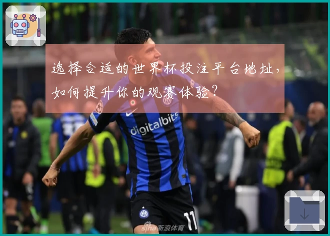选择合适的世界杯投注平台地址，如何提升你的观赛体验？
