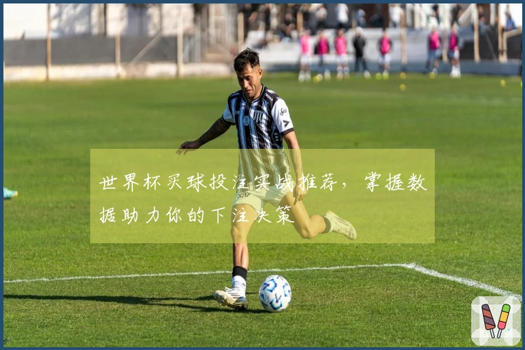 世界杯买球投注实战推荐，掌握数据助力你的下注决策