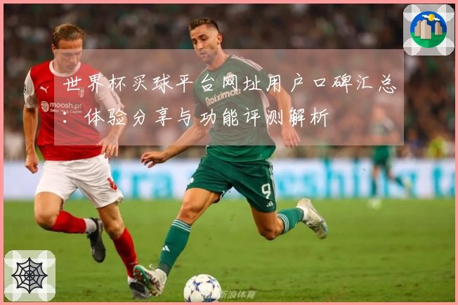 世界杯买球平台网址用户口碑汇总：体验分享与功能评测解析