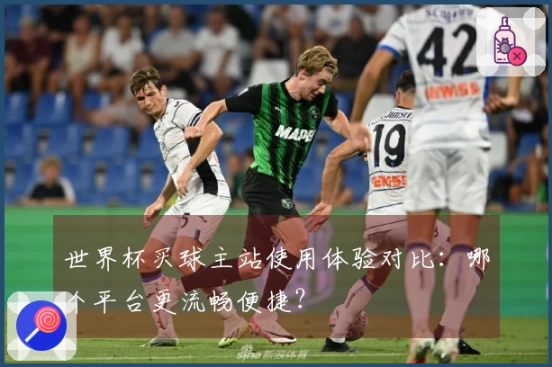 世界杯买球主站使用体验对比：哪个平台更流畅便捷？