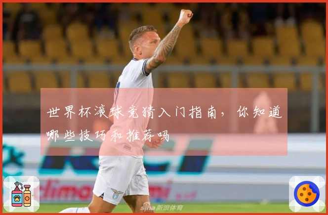 世界杯滚球竞猜入门指南，你知道哪些技巧和推荐吗