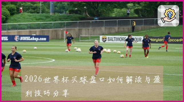 2026世界杯买球盘口如何解读与盈利技巧分享