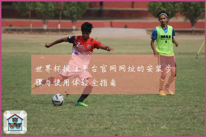 世界杯投注平台官网网址的安装步骤与使用体验全指南