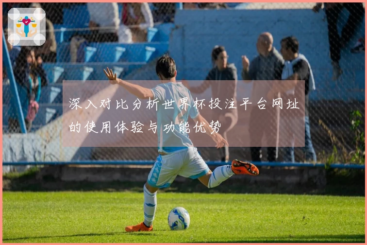 深入对比分析世界杯投注平台网址的使用体验与功能优势