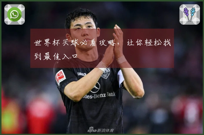 世界杯买球必看攻略，让你轻松找到最佳入口