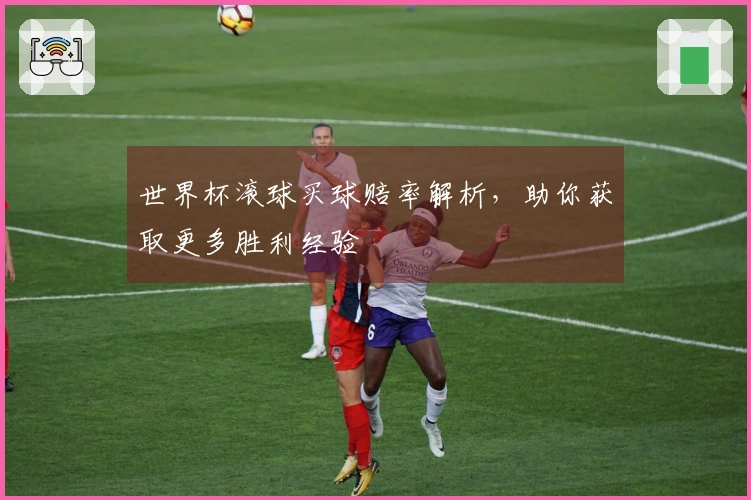 世界杯滚球买球赔率解析，助你获取更多胜利经验