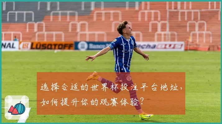 选择合适的世界杯投注平台地址,如何提升你的观赛体验?