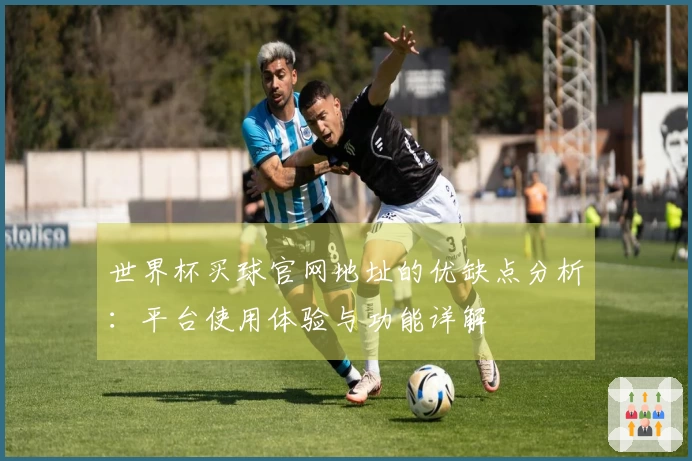世界杯买球官网地址的优缺点分析:平台使用体验与功能详解