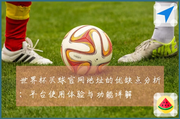 世界杯买球官网地址的优缺点分析：平台使用体验与功能详解