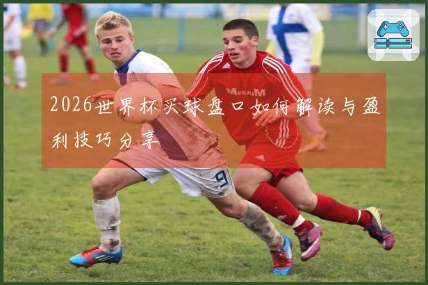 2026世界杯买球盘口如何解读与盈利技巧分享