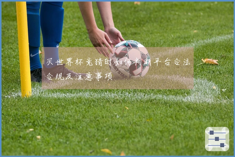 买世界杯竞猜时如何判断平台合法合规及注意事项