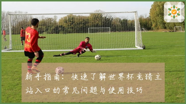 新手指南:快速了解世界杯竞猜主站入口的常见问题与使用技巧