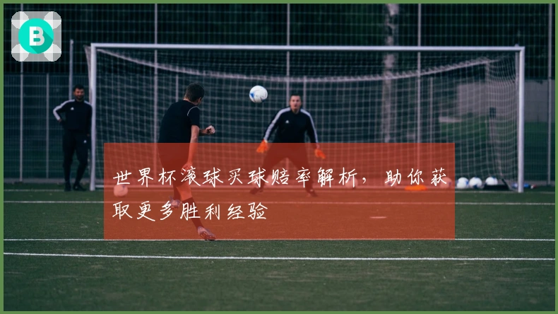 世界杯滚球买球赔率解析，助你获取更多胜利经验